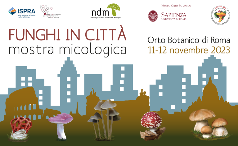 banner+web+767x470px