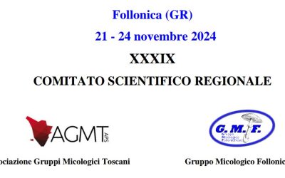 Comitato scientifico di AGMT a Follonica dal 21 al 24 novembre 2024
