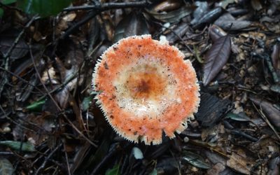 2024 Photo contest