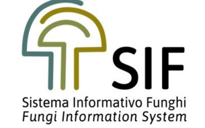 Aggiornamento sullo stato dei dati del SIF (20 gennaio 2026)