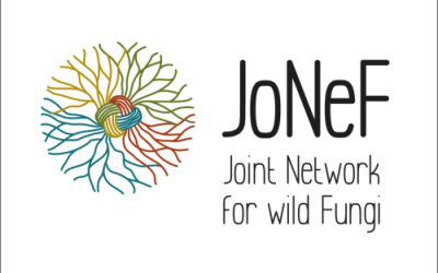 Il progetto JoNeF si riunisce a Palermo (28–31 ottobre 2025)