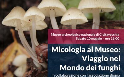 Micologia al Museo: Viaggio nel mondo dei funghi