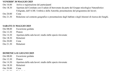 XII Comitato Scientifico A.MI. Umbria. Foligno, 30 maggio – 2 giugno 2025