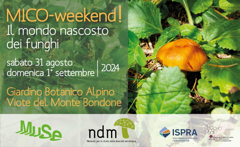 banner-web-767x470px-NDM