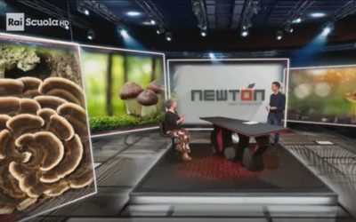 I funghi e il network raccontati da Solveig Tosi su Rai Scuola
