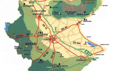 ISPRA e CAI insieme per il censimento dei funghi: la Sezione di Foggia avvia le attività