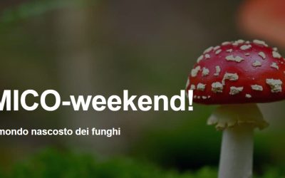 Mico Weekend a Trento: il 30 e 31 agosto 2025 al MUSE