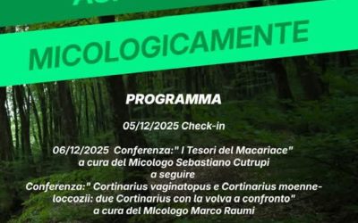 Aspromonte Micologicamente – VI edizione (Santo Stefano in Aspromonte, 5–8 dicembre 2025)