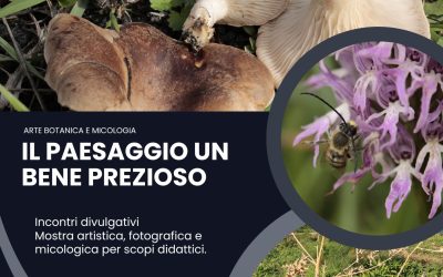 Mycological Meeting in Monte Romano (Viterbo, 14–16 November 2025)