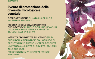 Orvieto hosts “Myconnections – Dialogues from the Understory”
