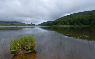 Convenzione ISPRA – Parco dei Nebrodi per il monitoraggio della biodiversità micologica
