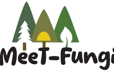 Federparchi, ISPRA, Micocosmo and the Valle Camonica Mountain Community – Adamello Park working together to enhance Lombardy’s mountain biodiversity