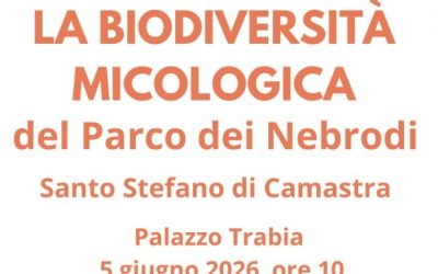 Launch of the Fungal Biodiversity Survey in the Nebrodi Park