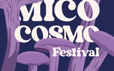 Ndm al MicoCosmo Festival 2026 nell’ambito del progetto MeeT-Fungi