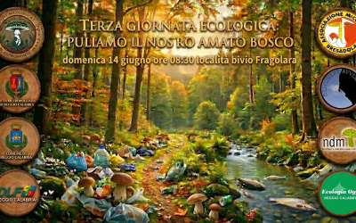 Giornata ecologica in Aspromonte