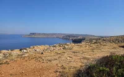 Il team JoNeF si è incontrato a Malta durante il meeting IMPEL Nature Protection