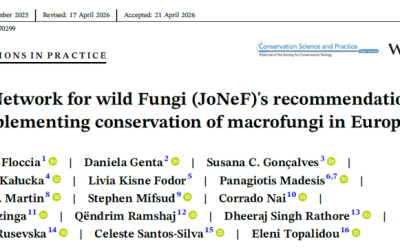 JoNeF publishes its first scientific paper on macrofungi conservation in Europe
