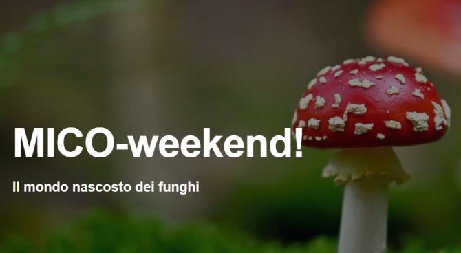 MICO Weekend