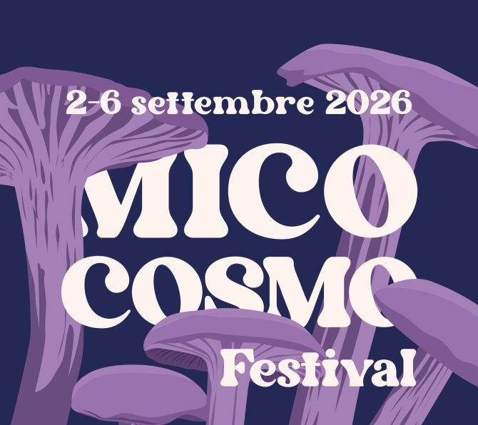 MICOCOSMO FESTIVAL