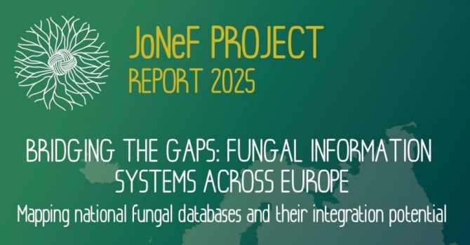 JoNeF Project Report 2025